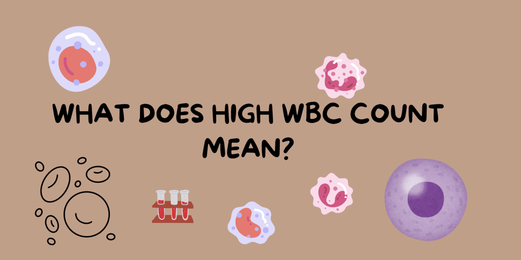 What does high white blood cell count mean? A digital illustration showing a blood sample under microscopic analysis, depicting white blood cells, red blood cells, and a hematology analyzer screen — representing what a high white blood cell count means in medical diagnosis.